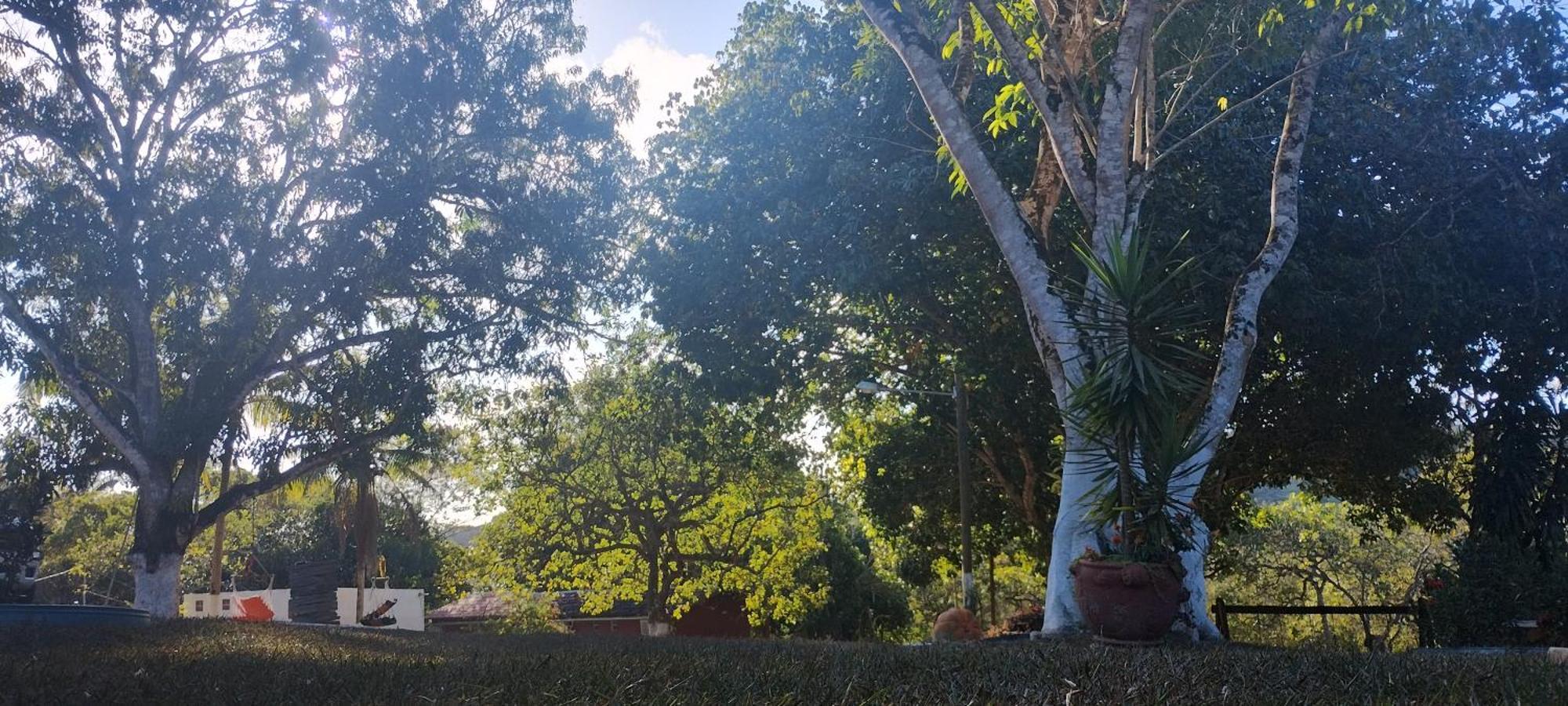 Fazenda Riachao Villa Pojuca Exterior foto